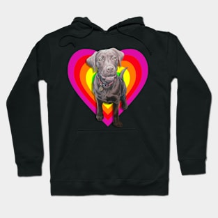 Gorgeous chocolate labrador in a rainbow digital heart! Hoodie